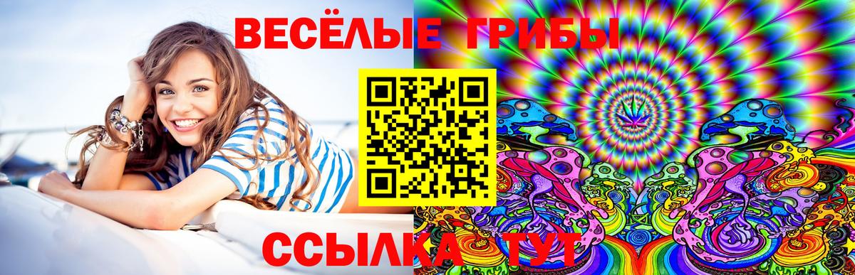 Галлюциногенные грибы мухоморы Качканар