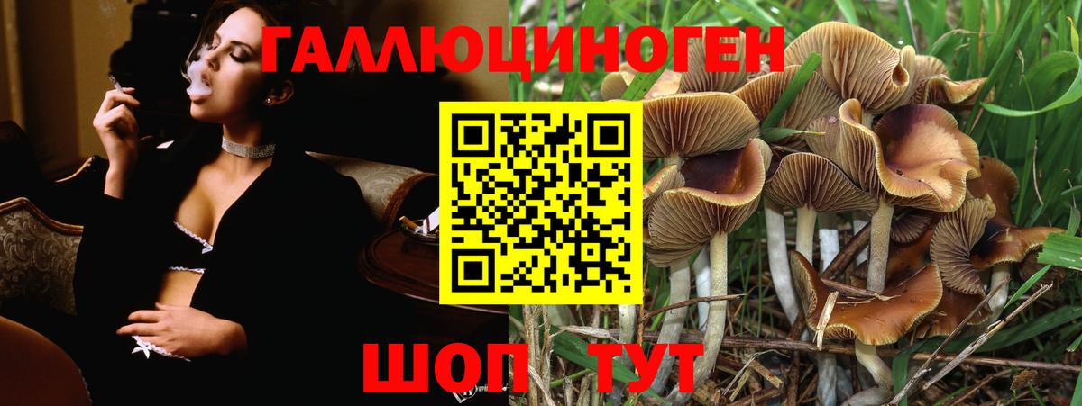Галлюциногенные грибы Cubensis  Псилоцибиновые грибы мухоморы  Вход с VPN  Качканар 
